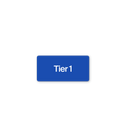 Replace Model Tier 1